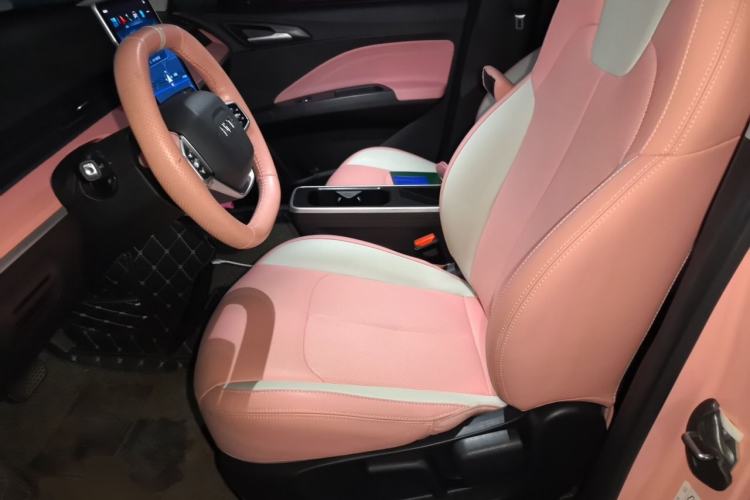 Used NETA V 2021 Witch Edition Left Front Seat