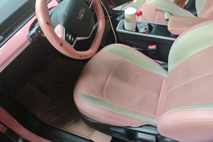Used NETA V 2021 Witch Edition Left Front Seat