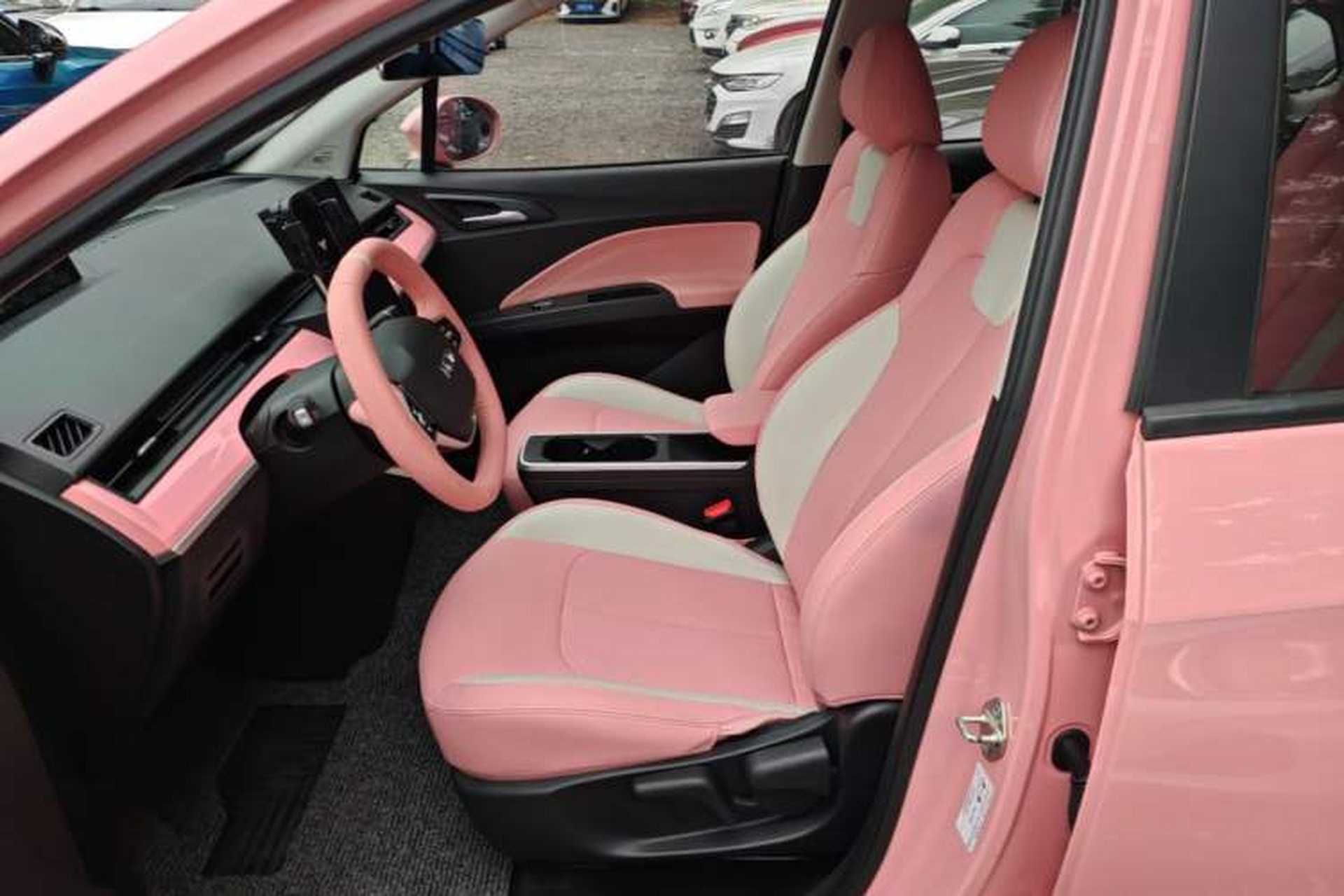Used NETA V 2021 Witch Edition Left Front Seat