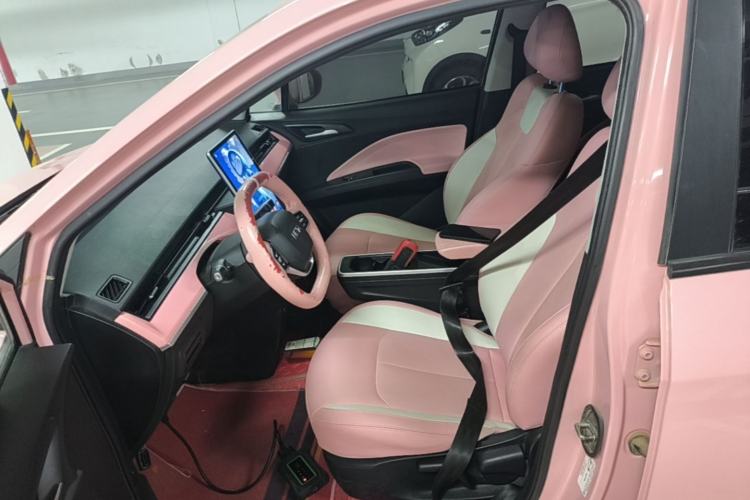 Used NETA V 2021 Witch Edition Left Front Seat