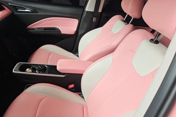 Used NETA V 2021 Witch Edition Left Front Seat