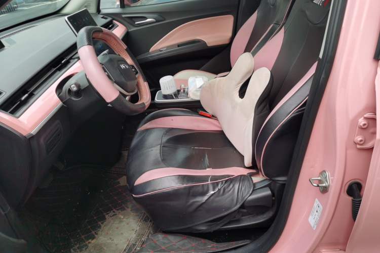 Used NETA V 2021 Witch Edition Left Front Seat