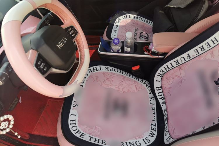 Used NETA V 2021 Witch Edition Left Front Seat