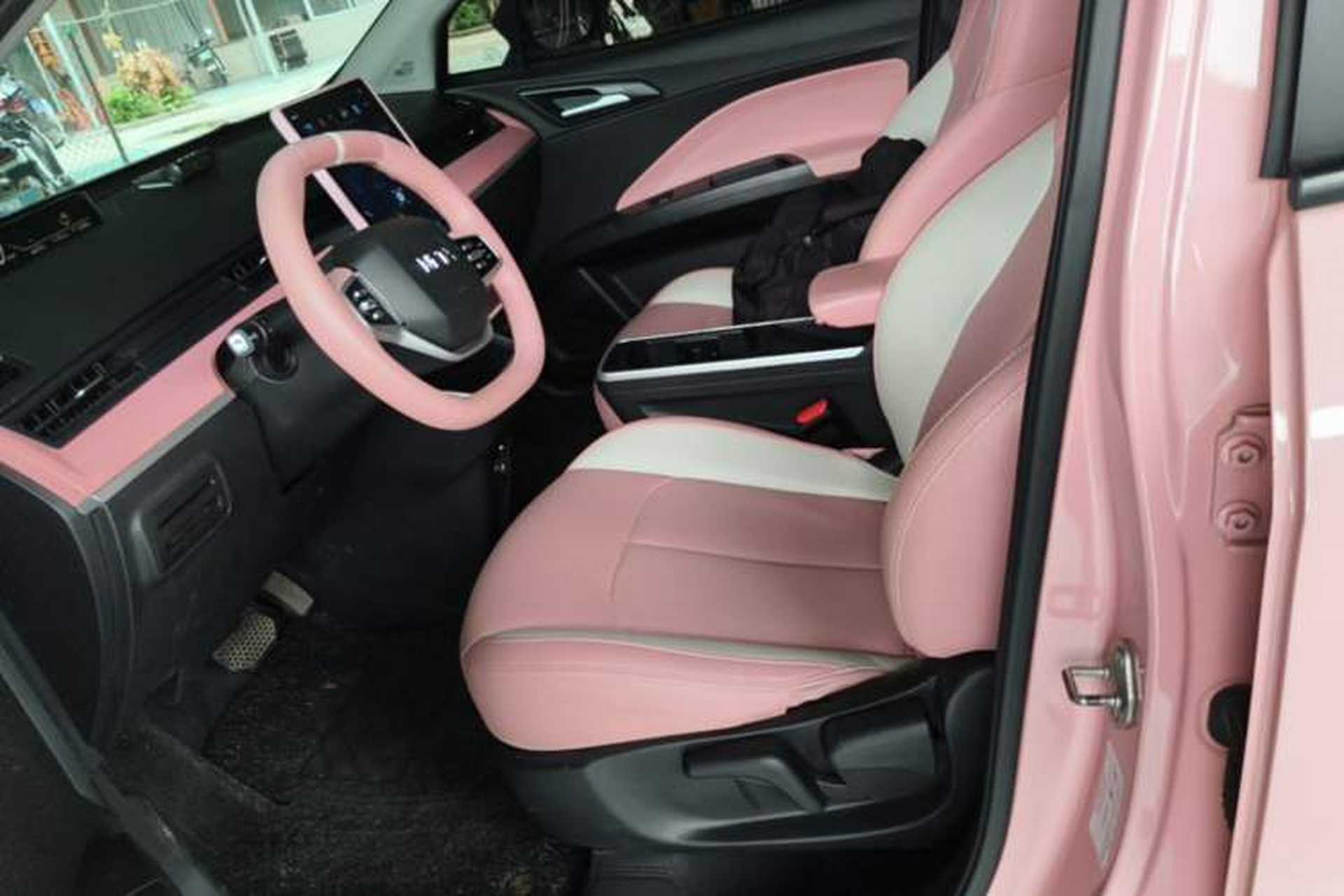 Used NETA V 2021 Long-Range Smart Edition Upgrade Model Left Front Seat