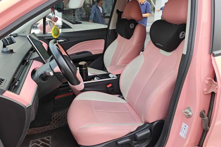 Used NETA V 2021 Witch Edition Left Front Seat
