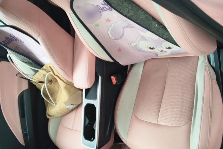 Used NETA V 2021 Witch Edition Left Front Seat