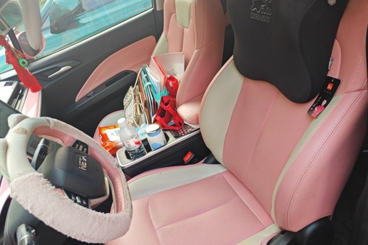 Used NETA V 2021 Witch Edition Left Front Seat