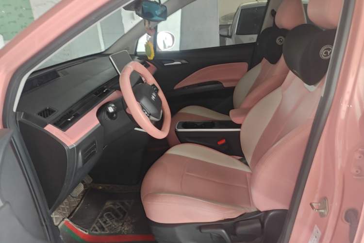 Used NETA V 2021 Witch Edition Left Front Seat