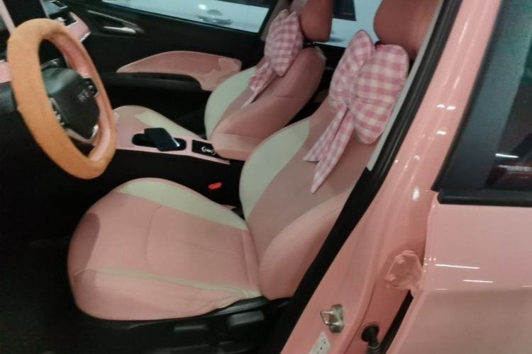 Used NETA V 2021 Witch Edition Left Front Seat