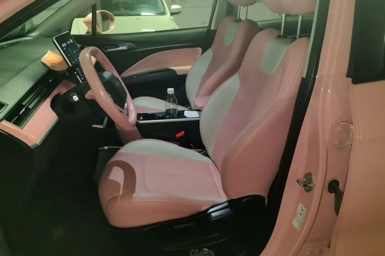 Used NETA V 2021 Witch Edition Left Front Seat
