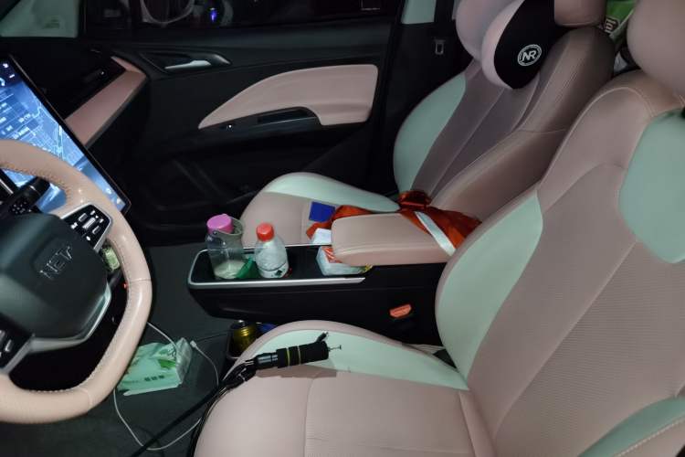 Used NETA V 2021 Witch Edition Left Front Seat