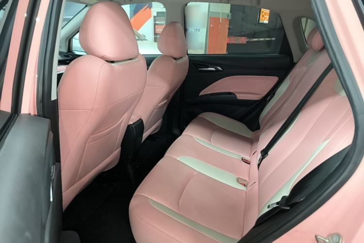 Used NETA V 2021 Witch Edition Left Rear Seat