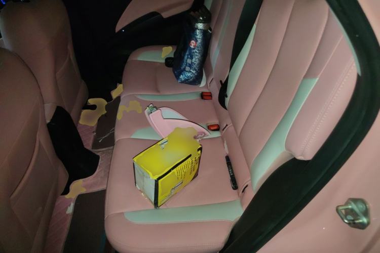 Used NETA V 2021 Witch Edition Left Rear Seat