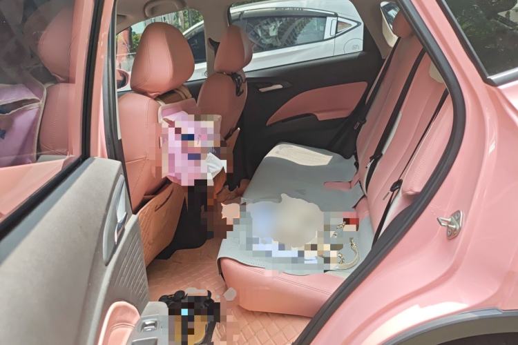 Used NETA V 2021 Witch Edition Left Rear Seat