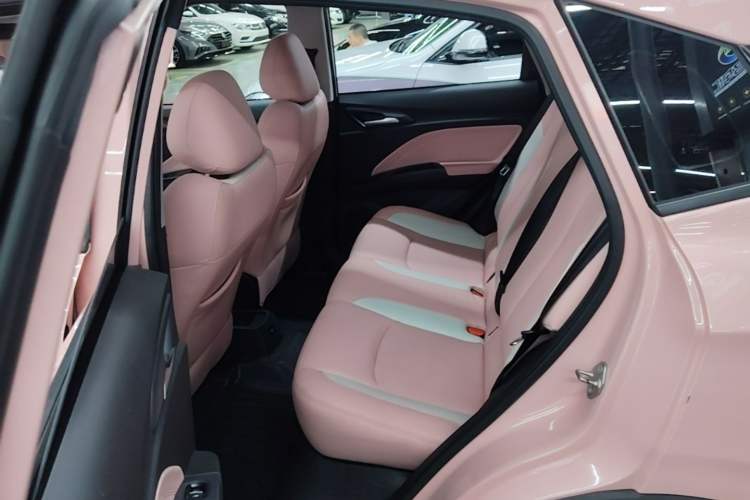 Used NETA V 2021 Witch Edition Left Rear Seat