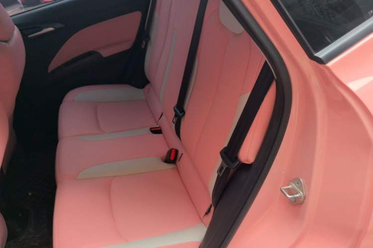 Used NETA V 2021 Witch Edition Left Rear Seat