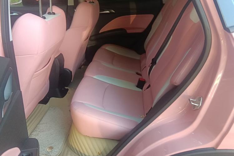 Used NETA V 2021 Long-Range Entertainment Edition Upgrade Model Left Rear Seat