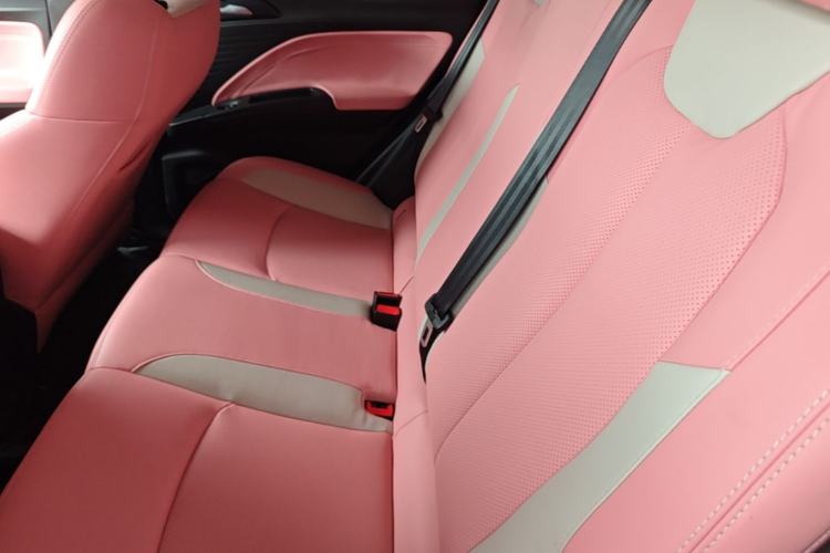 Used NETA V 2021 Witch Edition Left Rear Seat