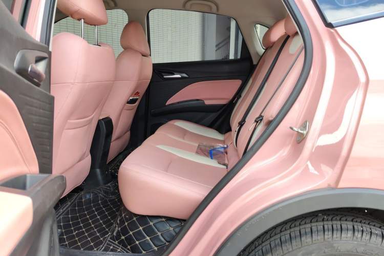 Used NETA V 2021 Long-Range Industry Custom Edition Left Rear Seat