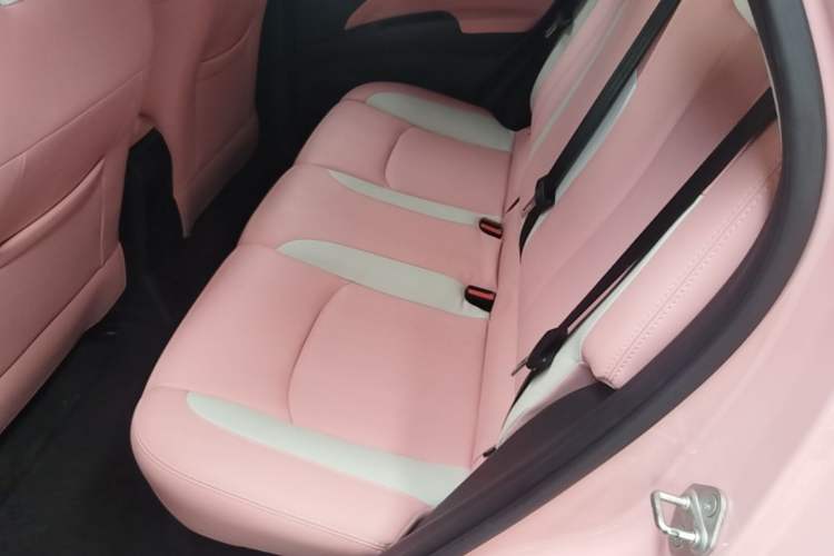Used NETA V 2021 Long-Range Entertainment Edition Upgrade Model Left Rear Seat