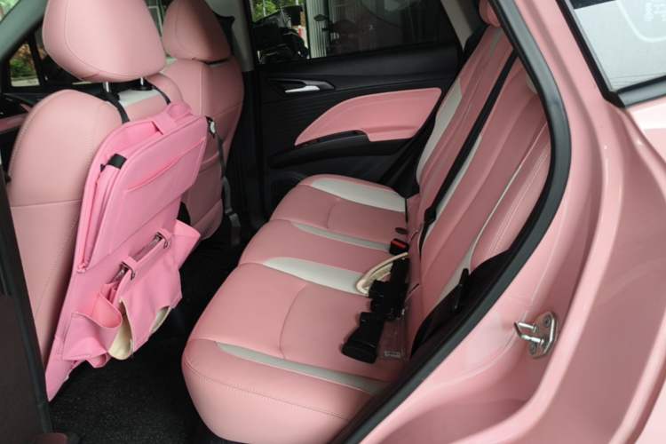 Used NETA V 2021 Long-Range Smart Edition Upgrade Model Left Rear Seat