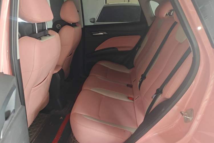 Used NETA V 2021 Witch Edition Left Rear Seat