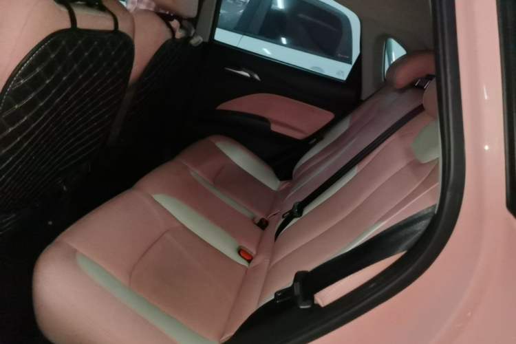 Used NETA V 2021 Witch Edition Left Rear Seat