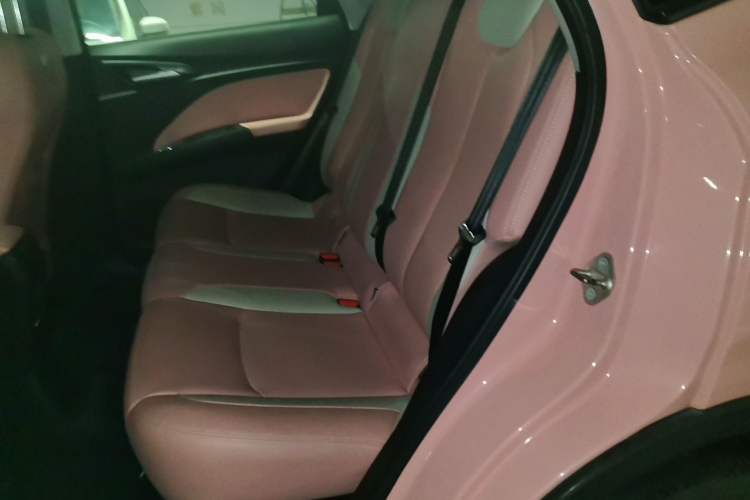 Used NETA V 2021 Witch Edition Left Rear Seat