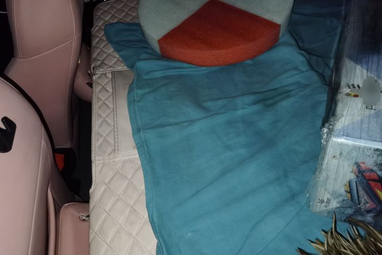 Used NETA V 2021 Witch Edition Left Rear Seat