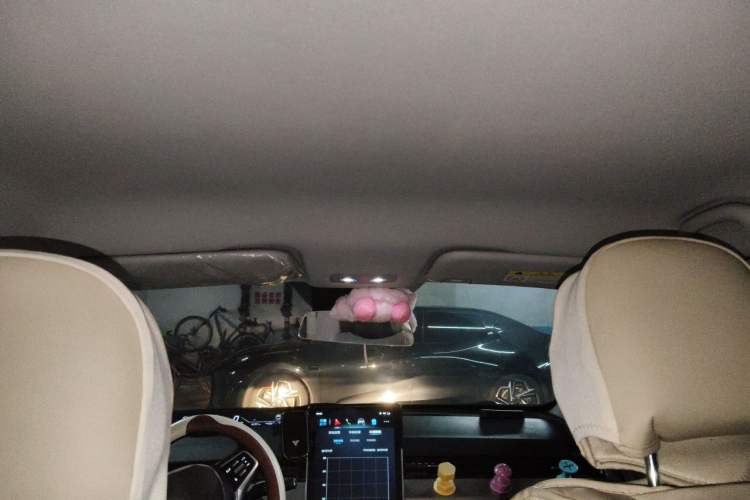 Used NETA V 2021 Standard Range Entertainment Version – Upgraded Model Headliner
