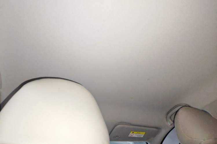 Used NETA V 2021 Standard Range Entertainment Version – Upgraded Model Headliner