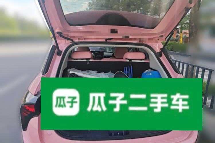 Used NETA V 2021 Witch Edition Trunk