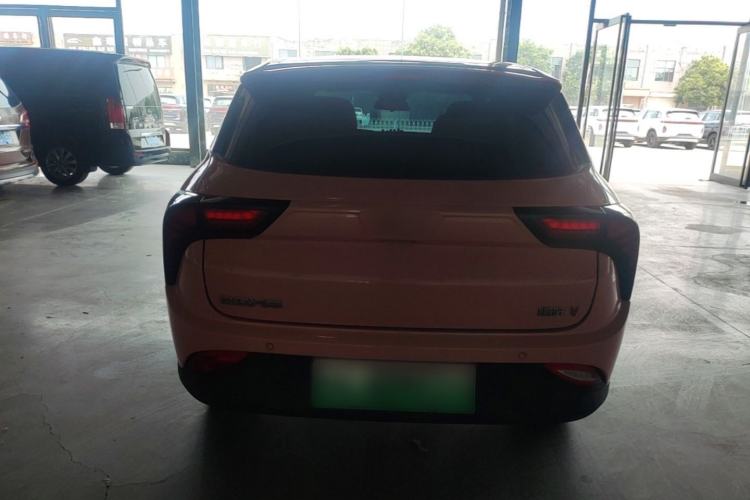 Used NETA V 2021 Witch Edition Rear