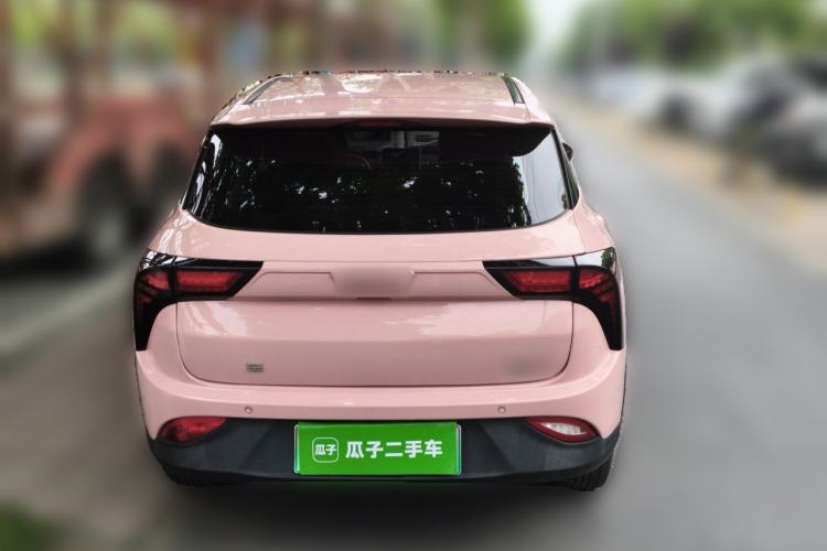Used NETA V 2021 Witch Edition Rear