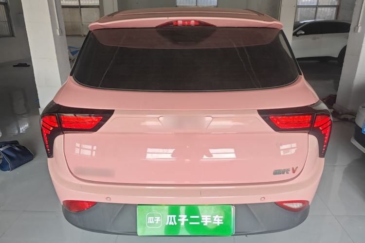 Used NETA V 2021 Witch Edition Rear