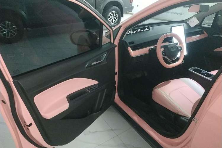 Used NETA V 2021 Witch Edition Driver Seat