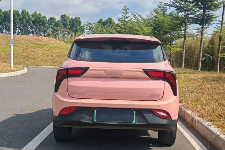Used NETA V 2021 Witch Edition Exterior 5