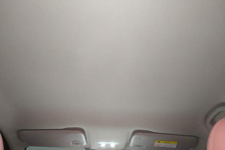 Used NETA V 2021 Witch Edition Headliner