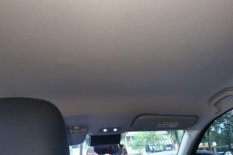 Used NETA V 2021 Long-Range Entertainment Edition Upgrade Model Headliner