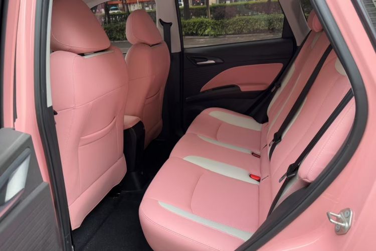 Used NETA V 2021 Witch Edition Interior 4