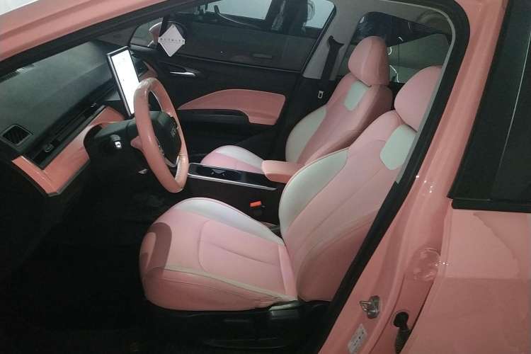 Used NETA V 2021 Witch Edition Left Front Seat