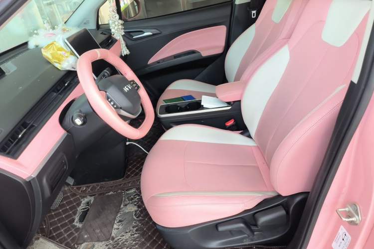 Used NETA V 2021 Witch Edition Left Front Seat