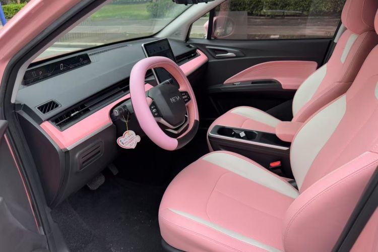 Used NETA V 2021 Witch Edition Left Front Seat