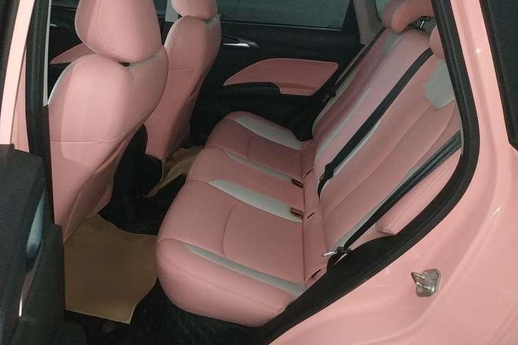 Used NETA V 2021 Witch Edition Left Rear Seat