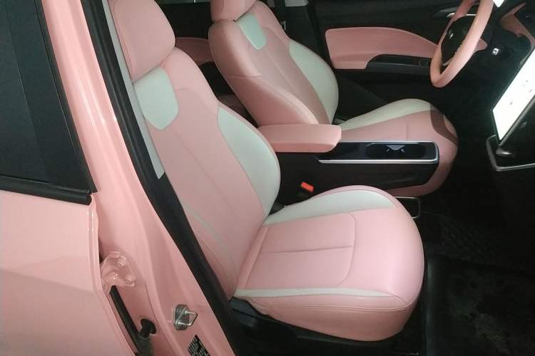 Used NETA V 2021 Witch Edition Right Front Seat