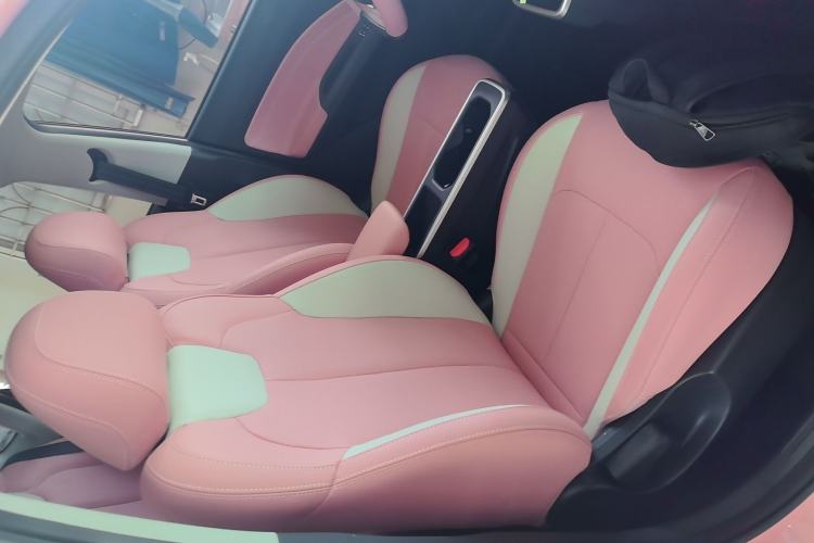 Used NETA V 2021 Witch Edition Right Front Seat