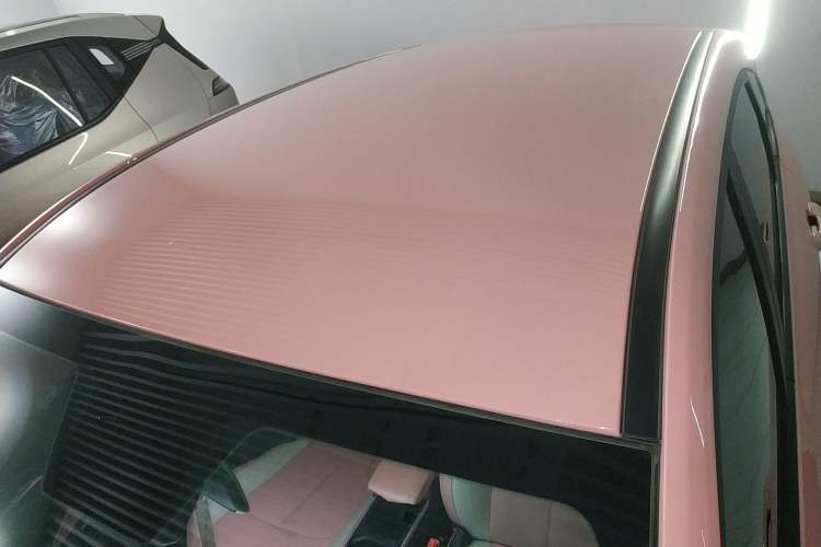 Used NETA V 2021 Witch Edition Roof