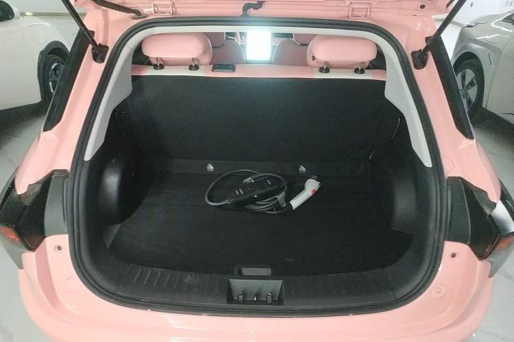 Used NETA V 2021 Witch Edition Trunk