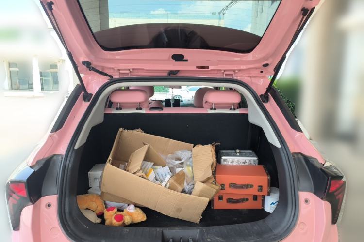 Used NETA V 2021 Witch Edition Trunk