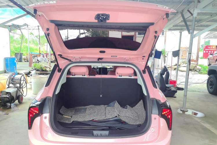 Used NETA V 2021 Witch Edition Trunk